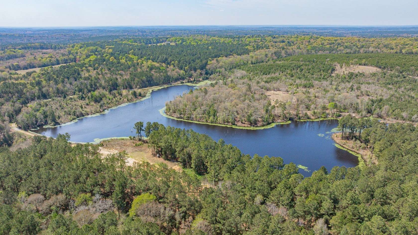 521 Acres of Recreational & Residential Land for Sale in Linden, Texas