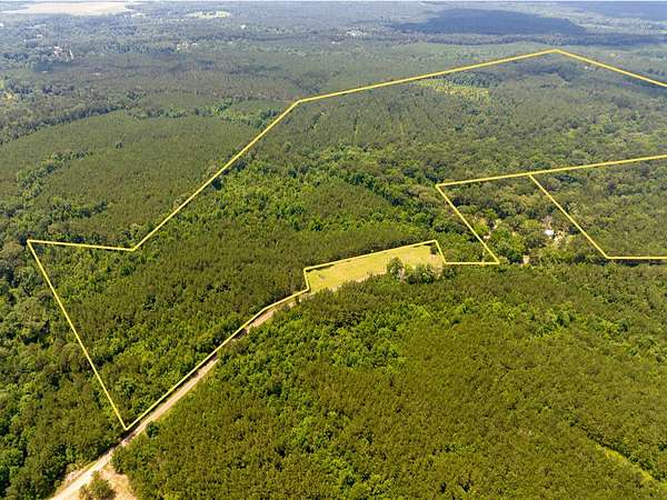 93 Acres of Recreational Land for Sale in Jena, Louisiana