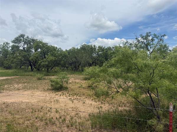 2 Acres of Residential Land for Sale in Brownwood, Texas