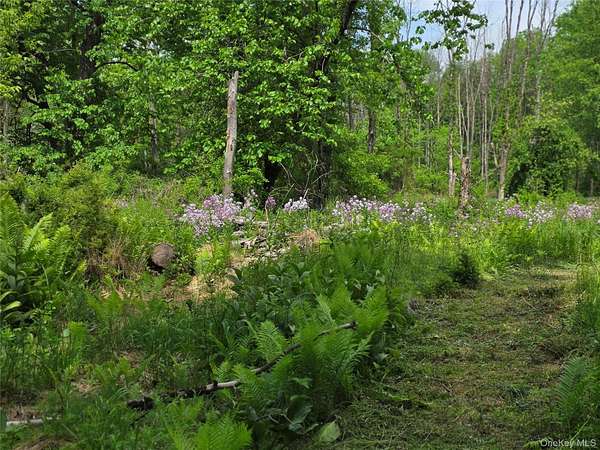 3.8 Acres of Residential Land for Sale in Hyde Park, New York