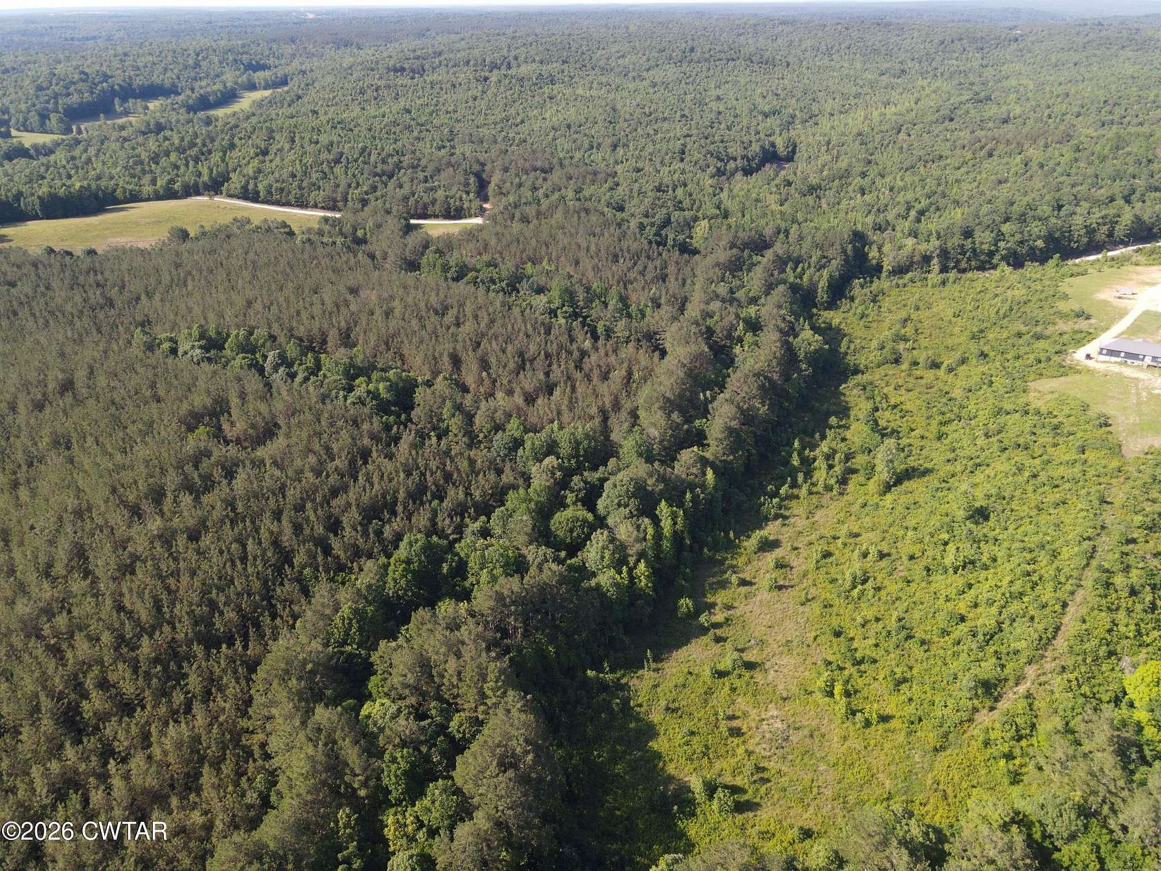 48.7 Acres of Recreational & Residential Land for Sale in Sugar Tree, Tennessee
