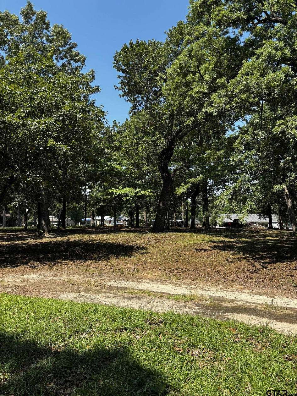 0.45 Acres of Residential Land for Sale in Flint, Texas