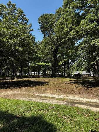 0.45 Acres of Residential Land for Sale in Flint, Texas