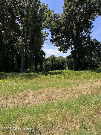 0.7 Acres of Residential Land for Sale in Lake Cormorant, Mississippi