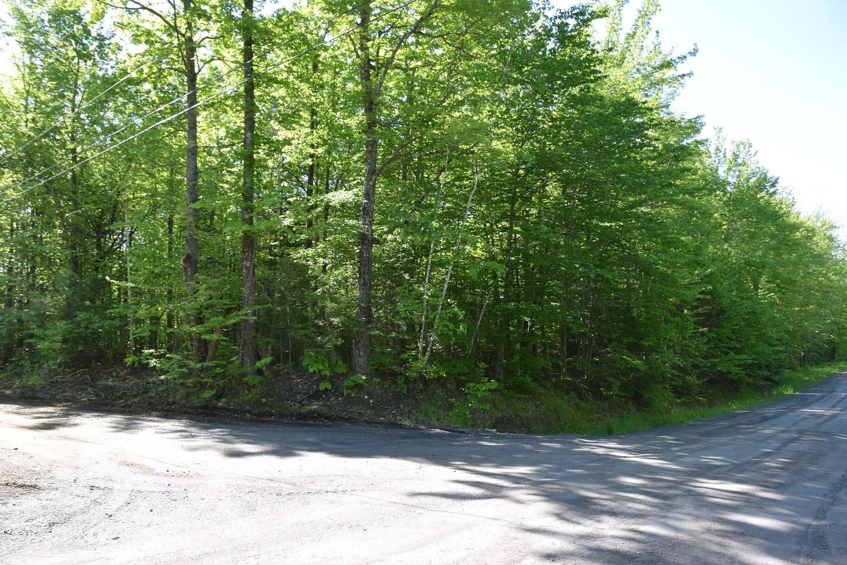52.6 Acres of Recreational & Residential Land for Sale in Embden, Maine