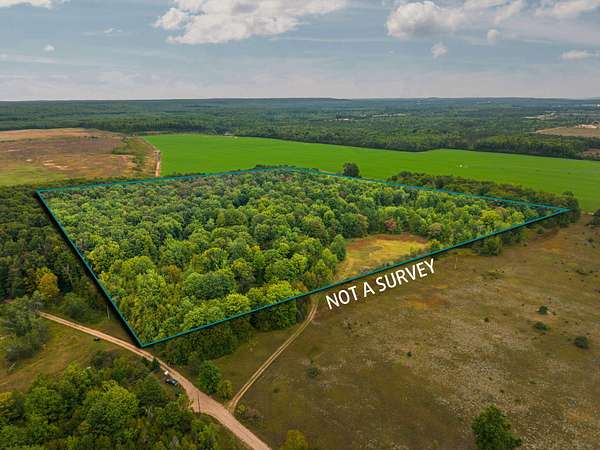 32.2 Acres of Recreational & Residential Land for Sale in Elmira, Michigan