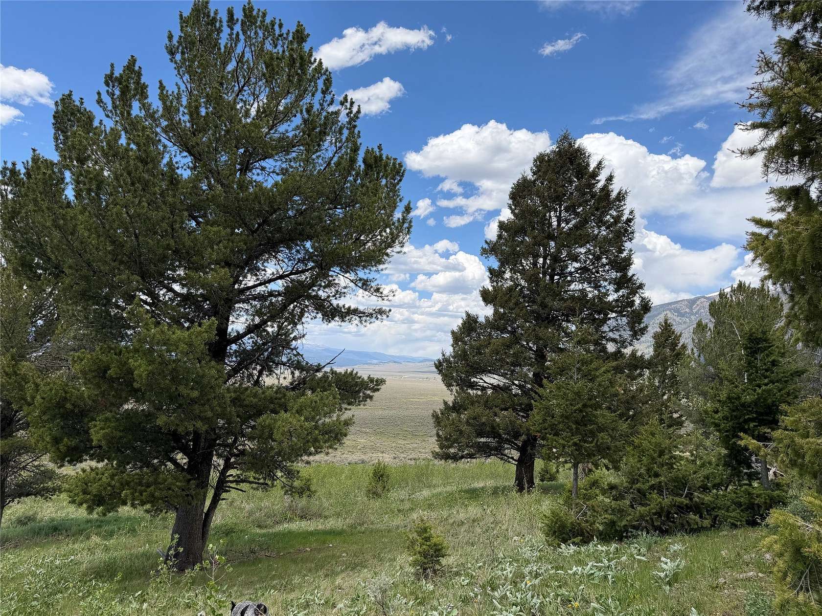 39.8 Acres of Recreational Land for Sale in Cameron, Montana