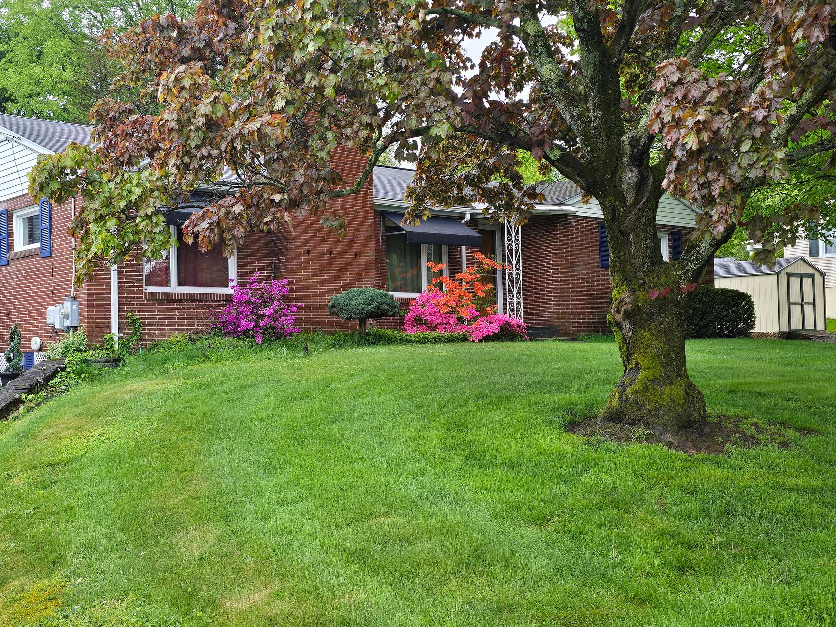 17.3 Acres of Recreational Land with Home for Sale in Windber, Pennsylvania
