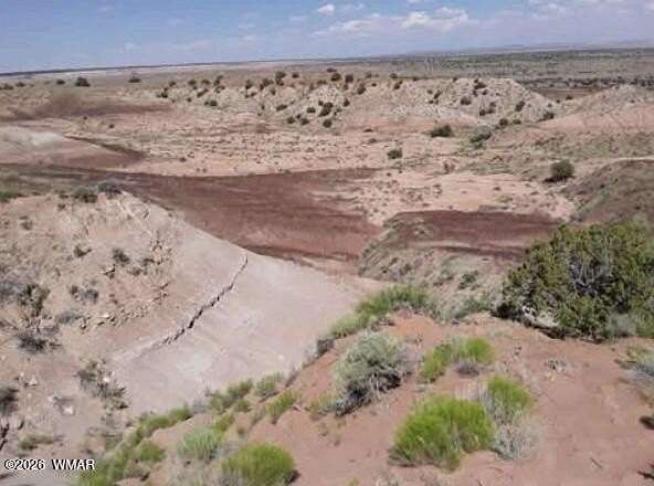 40 Acres of Recreational Land for Sale in Chambers, Arizona