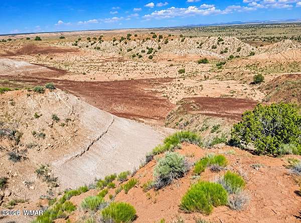 40 Acres of Recreational Land for Sale in Chambers, Arizona