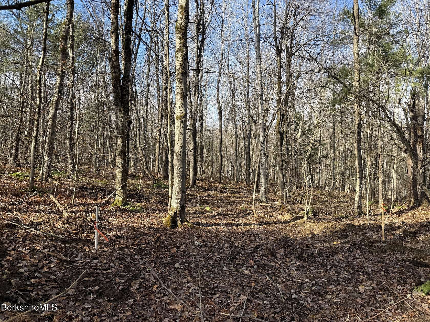 8.2 Acres of Residential Land for Sale in Middlefield, Massachusetts