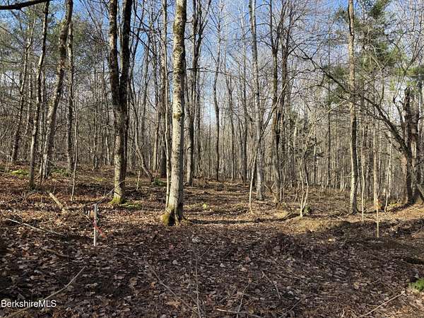 8.2 Acres of Residential Land for Sale in Middlefield, Massachusetts