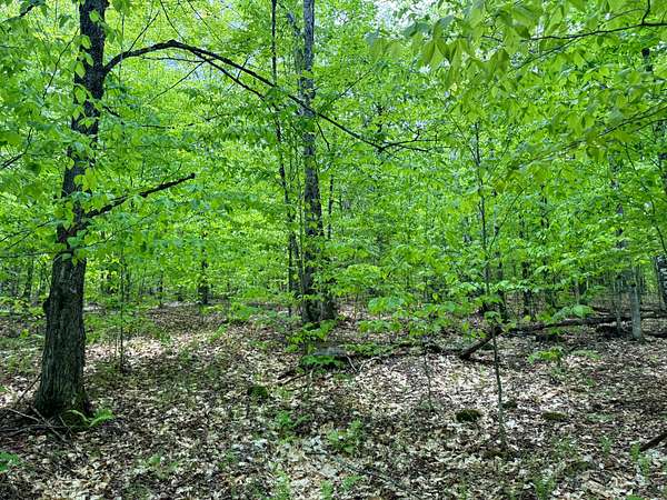 25 Acres of Recreational Land for Sale in Chester Town, New York