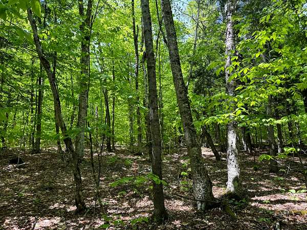 20.3 Acres of Recreational Land for Sale in Chester Town, New York