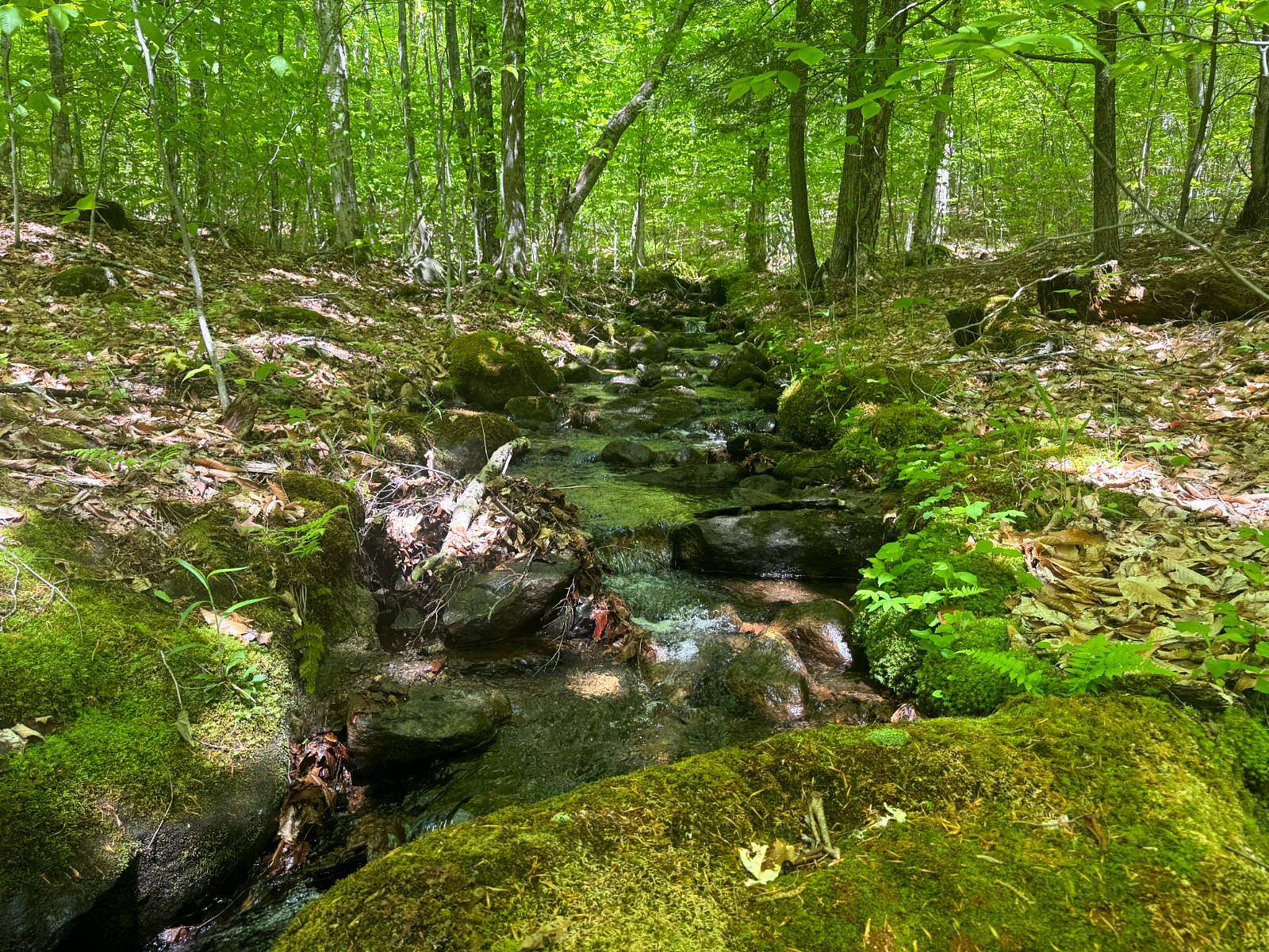 22.9 Acres of Recreational & Residential Land for Sale in Chester Town, New York