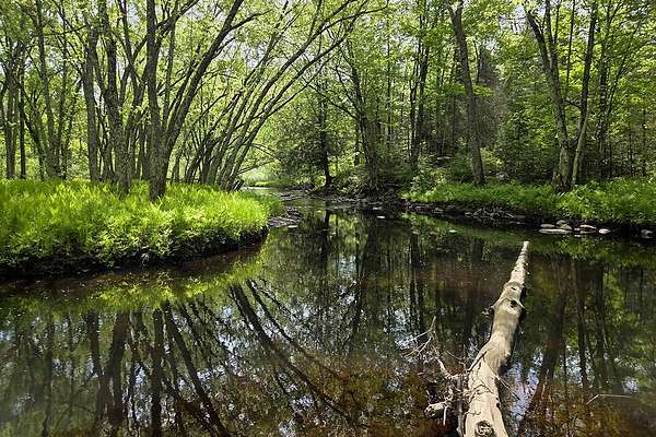 10 Acres of Recreational & Residential Land for Sale in Tripoli, Wisconsin