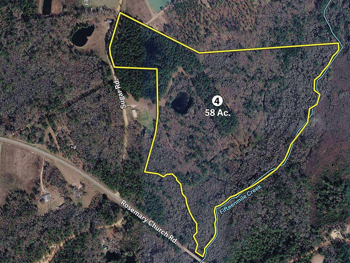 58 Acres of Recreational Land for Auction in Metter, Georgia