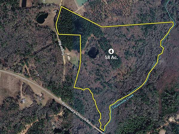 58 Acres of Recreational Land for Auction in Metter, Georgia