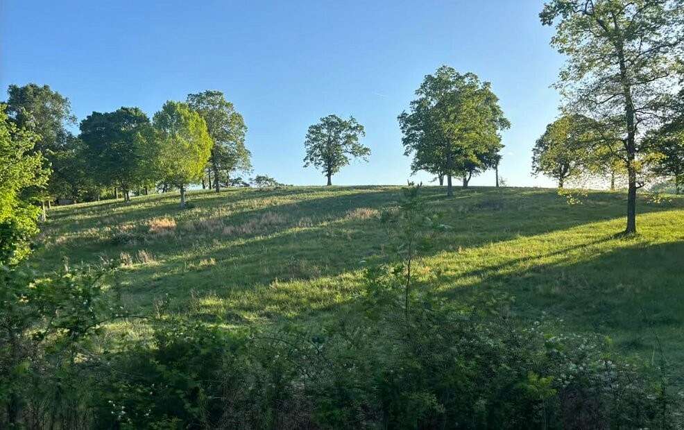 47.6 Acres of Land for Sale in Cumberland Furnace, Tennessee
