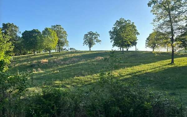 47.6 Acres of Land for Sale in Cumberland Furnace, Tennessee