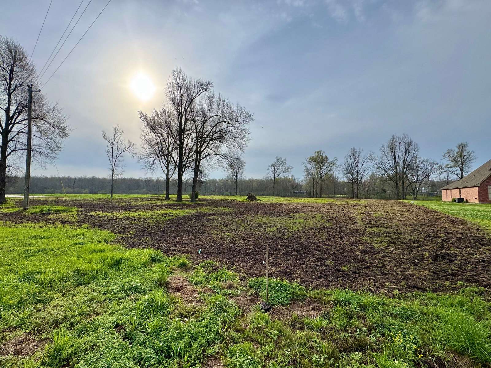 0.8 Acres of Residential Land for Sale in Jonesville, Louisiana