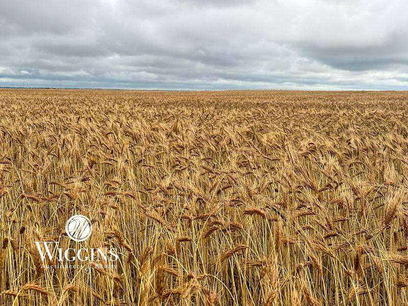 80 Acres of Land for Auction in Drummond, Oklahoma