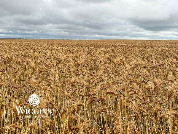 80 Acres of Land for Auction in Drummond, Oklahoma