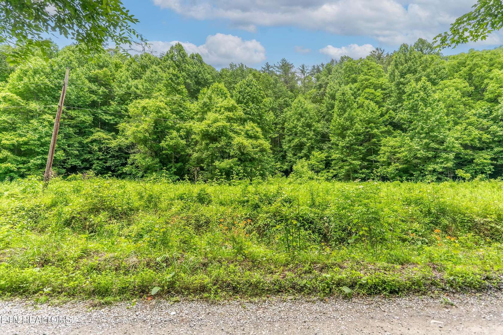 18 Acres of Agricultural Land for Sale in Del Rio, Tennessee