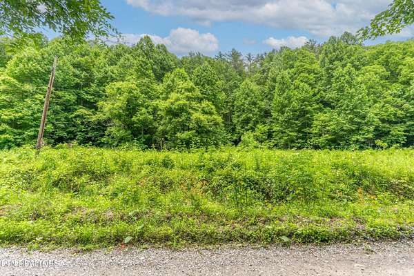 18 Acres of Agricultural Land for Sale in Del Rio, Tennessee