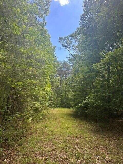 5 Acres of Residential Land for Sale in Altamont, Tennessee