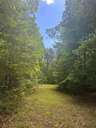 5 Acres of Residential Land for Sale in Altamont, Tennessee