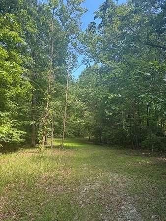 5 Acres of Recreational Land for Sale in Altamont, Tennessee
