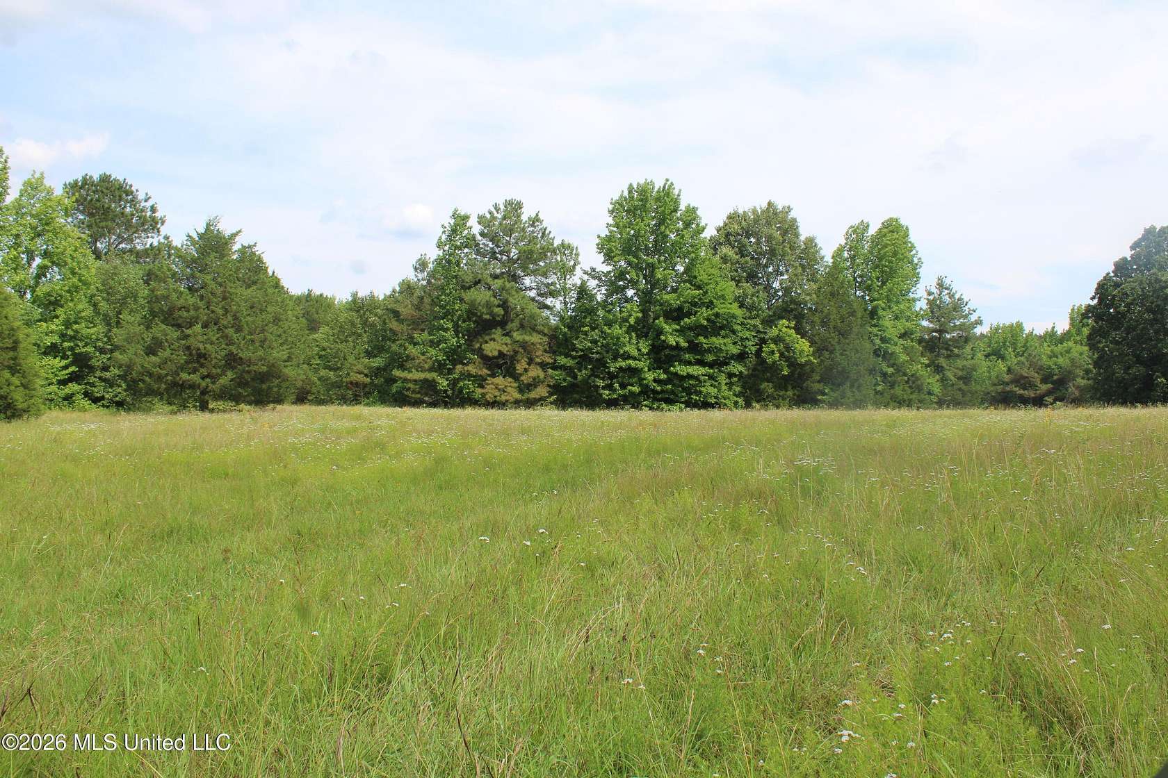 21.1 Acres of Recreational & Residential Land for Sale in Holly Springs, Mississippi