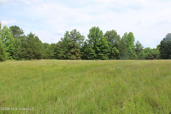 21.1 Acres of Recreational & Residential Land for Sale in Holly Springs, Mississippi