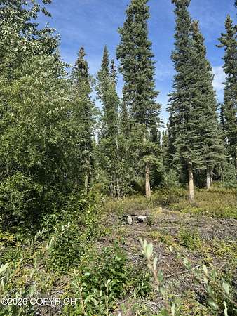 0.69 Acres of Land for Sale in Glennallen, Alaska