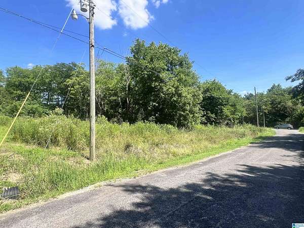 0.5 Acres of Residential Land for Sale in Birmingham, Alabama