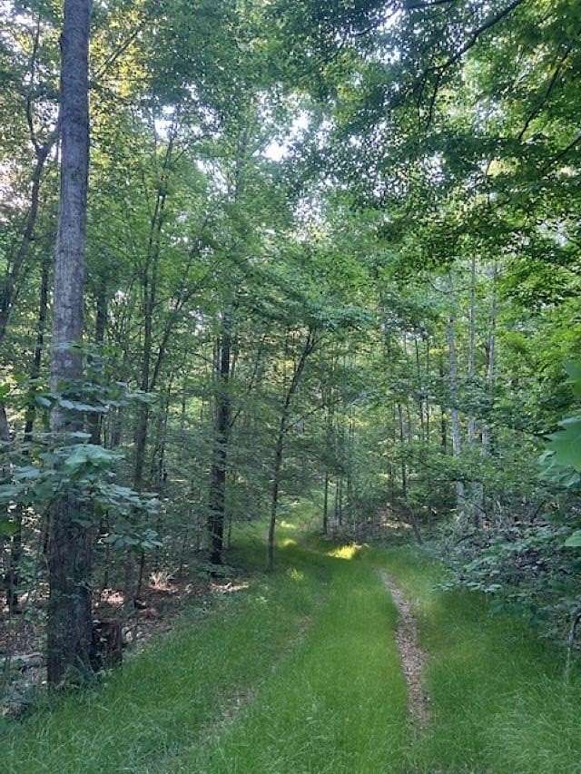 27.4 Acres of Recreational Land for Sale in Breeding, Kentucky