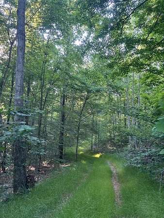 27.4 Acres of Recreational Land for Sale in Breeding, Kentucky