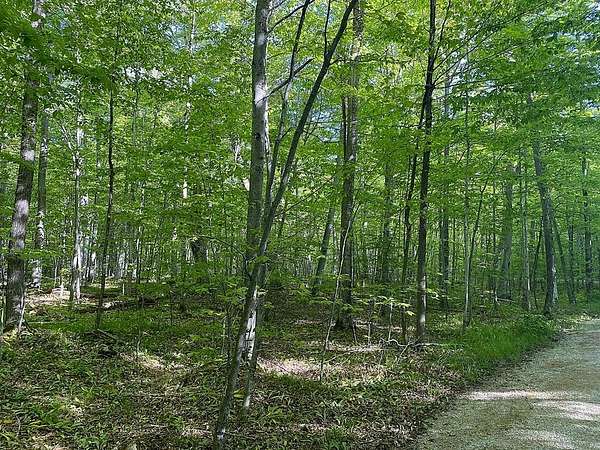 4 Acres of Land for Sale in Ellison Bay, Wisconsin