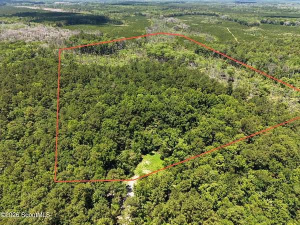 41.3 Acres of Recreational & Residential Land for Sale in Waverly, Georgia