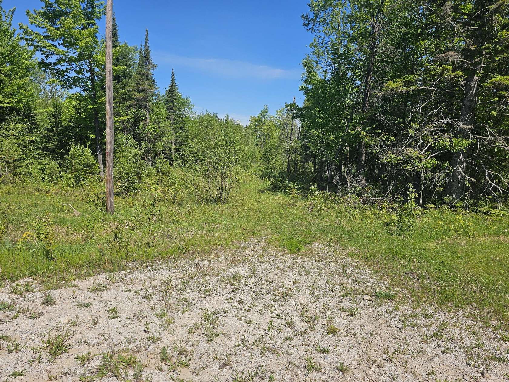 5 Acres of Land for Sale in Engadine, Michigan