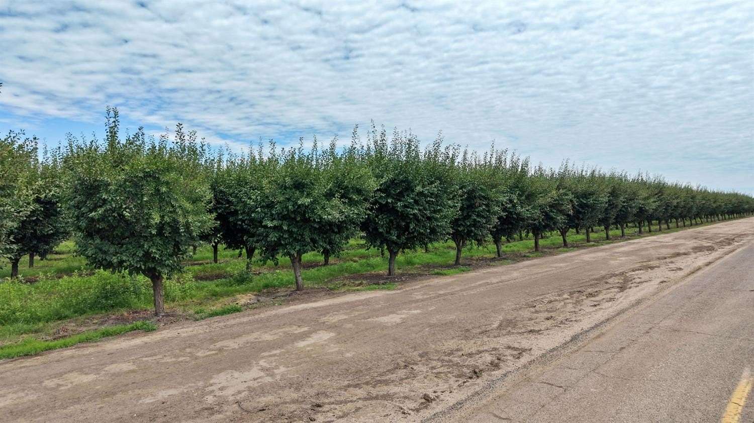 77.1 Acres of Land with Home for Sale in Madera, California