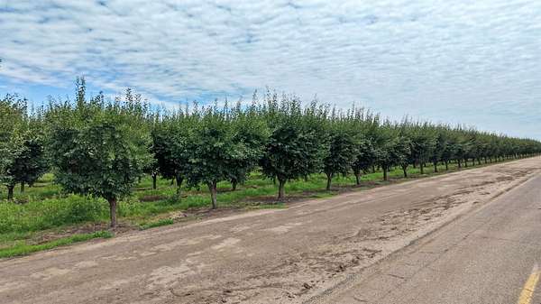 77.1 Acres of Land with Home for Sale in Madera, California