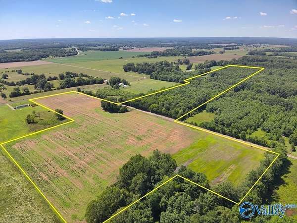 47 Acres of Land for Sale in Danville, Alabama