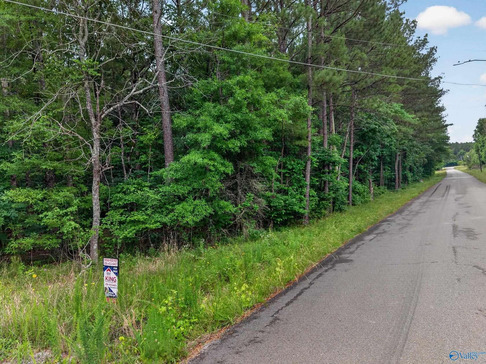 1 Acre of Land for Sale in Southside, Alabama
