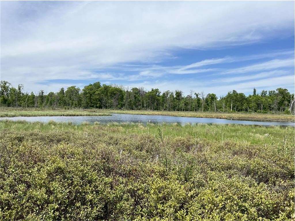 40.6 Acres of Recreational Land for Sale in Center Township, Minnesota