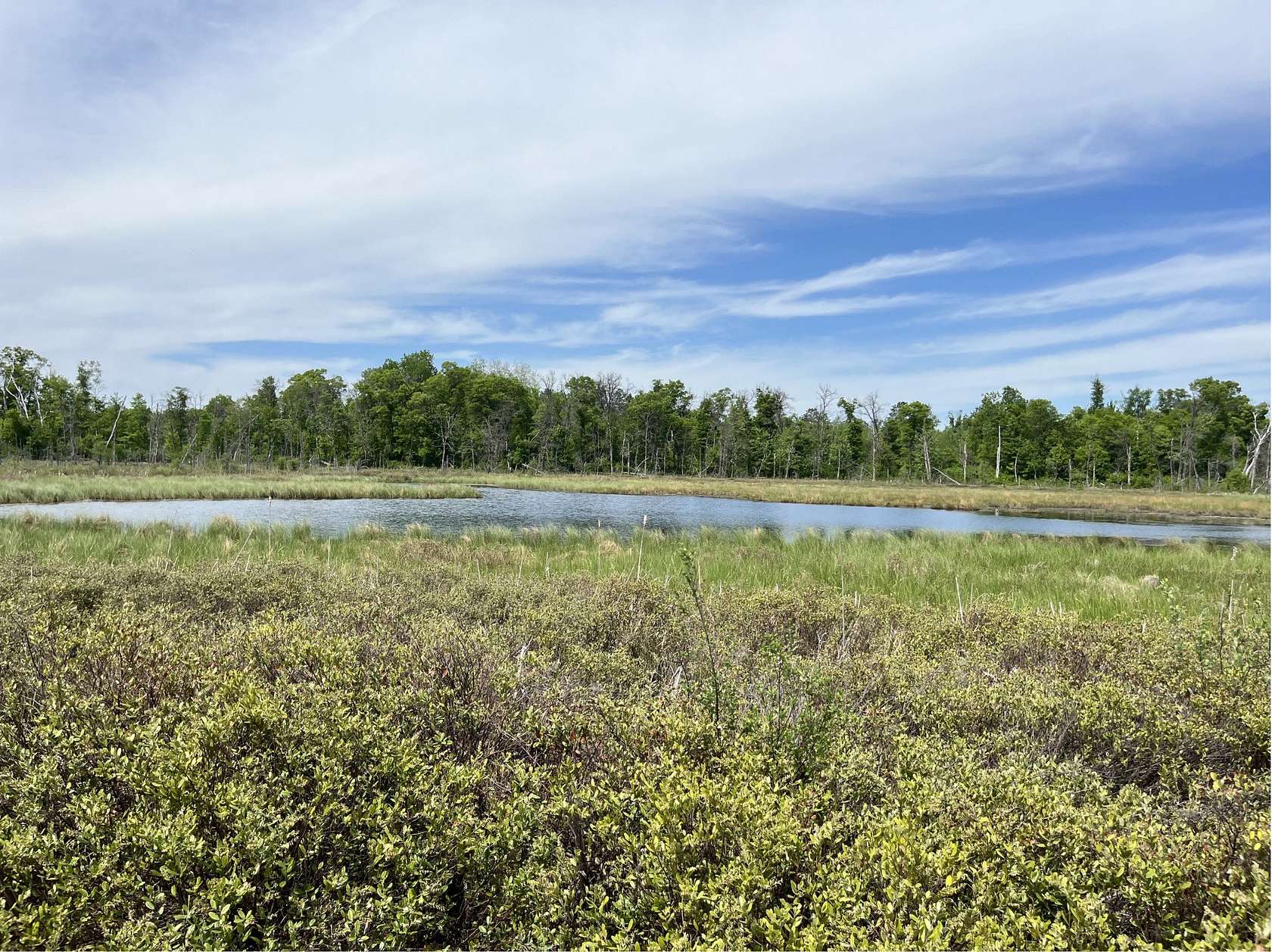 40.6 Acres of Recreational Land for Sale in Merrifield, Minnesota