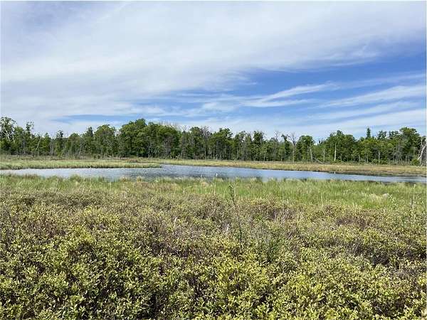 40.6 Acres of Recreational Land for Sale in Center Township, Minnesota