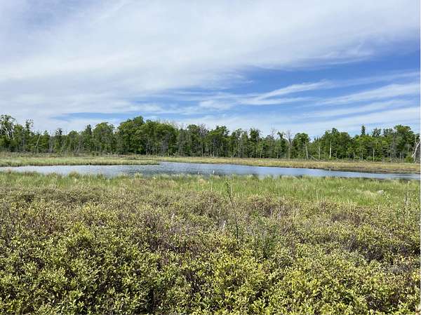 40.6 Acres of Recreational Land for Sale in Merrifield, Minnesota