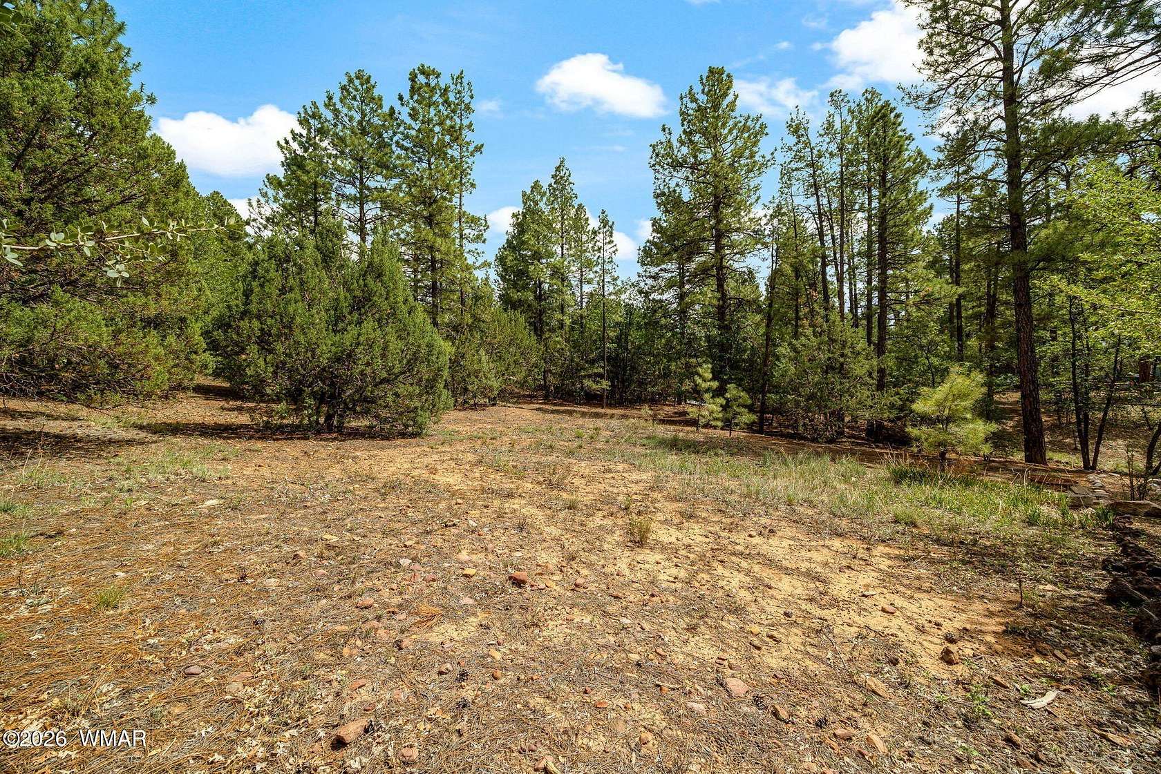 0.46 Acres of Residential Land for Sale in Show Low, Arizona